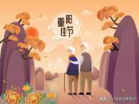 保定安双商贸有限公司