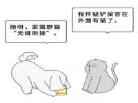 保定安双商贸有限公司