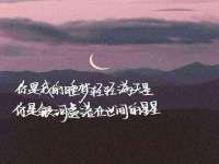 保定安双商贸有限公司