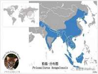 保定安双商贸有限公司