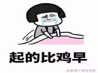 保定安双商贸有限公司