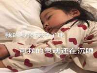 保定安双商贸有限公司