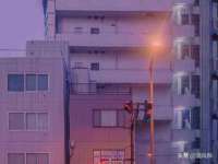 保定安双商贸有限公司