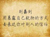 保定安双商贸有限公司