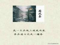 保定安双商贸有限公司