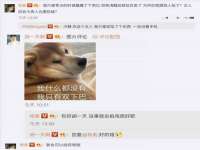 保定安双商贸有限公司