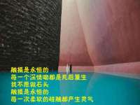 保定安双商贸有限公司
