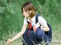 保定安双商贸有限公司