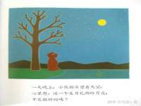保定安双商贸有限公司
