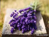 保定安双商贸有限公司